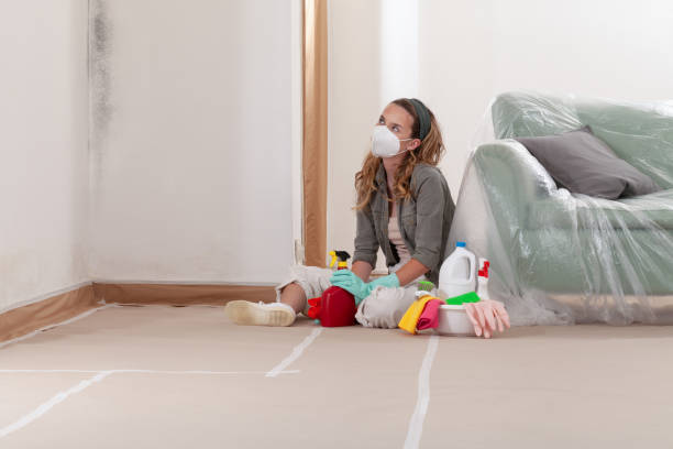 Reliable Mold Remediation contractor in Bear Creek, NC by WQB Mold Removal
